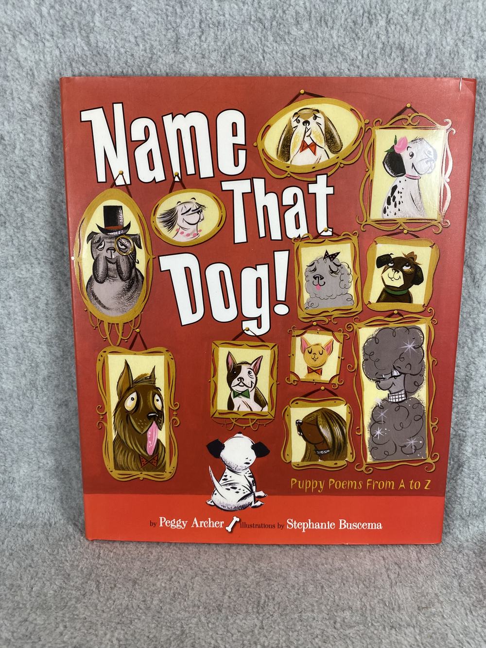 Name That Dog, photo 1 of 9