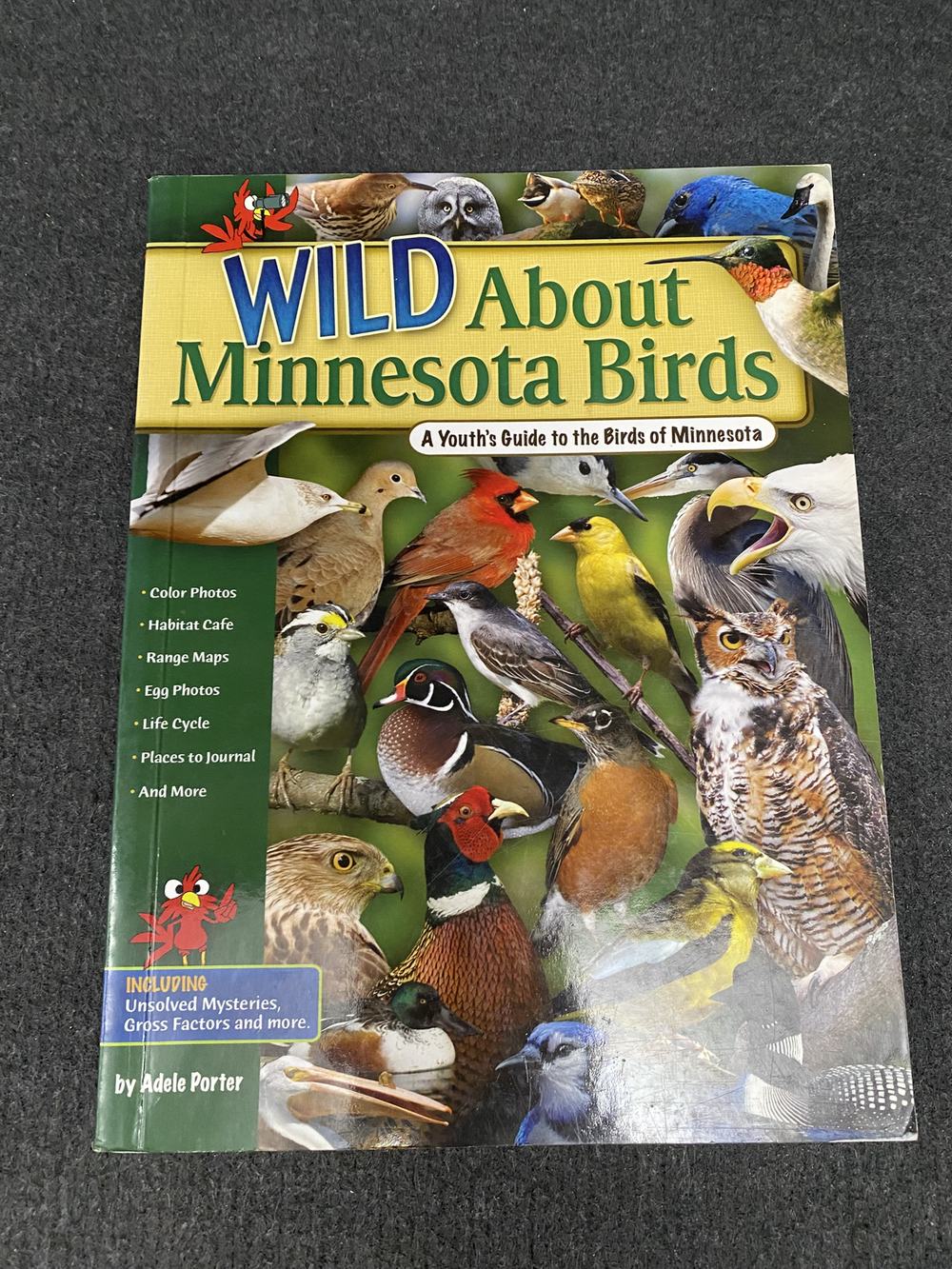 Wild About Minnesota Birds: A Youth's Guide to the Birds of Minnesota, photo 1 of 5
