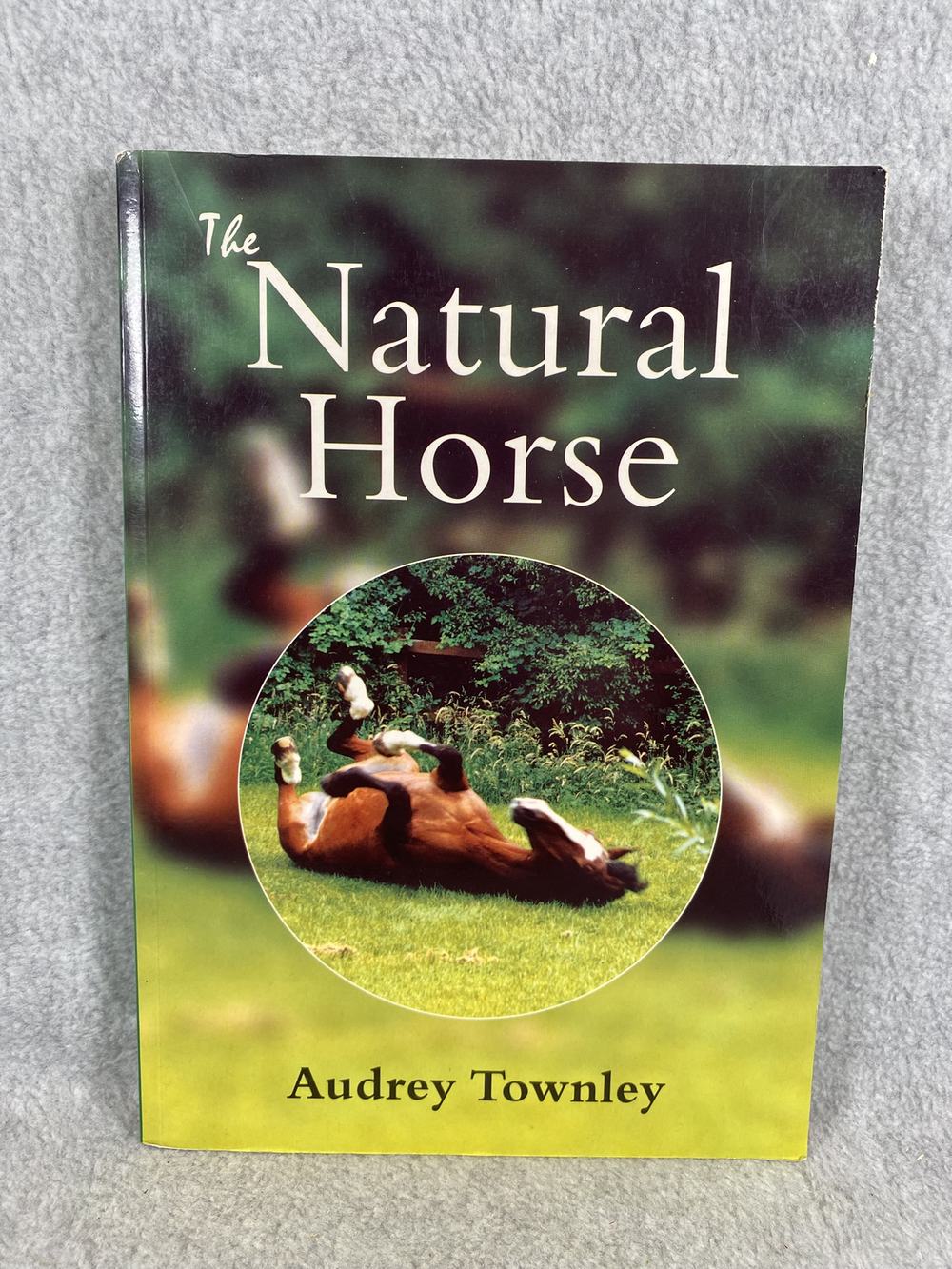 The Natural Horse, photo 1 of 4
