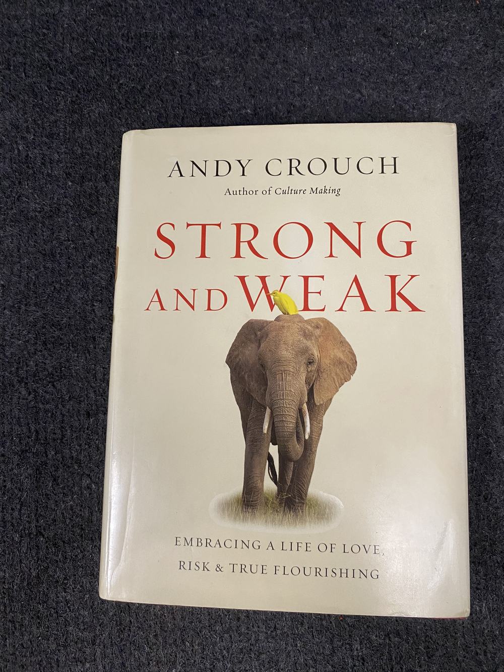 Strong and Weak: Embracing a Life of Love, Risk and True Flourishing, photo 1 of 4