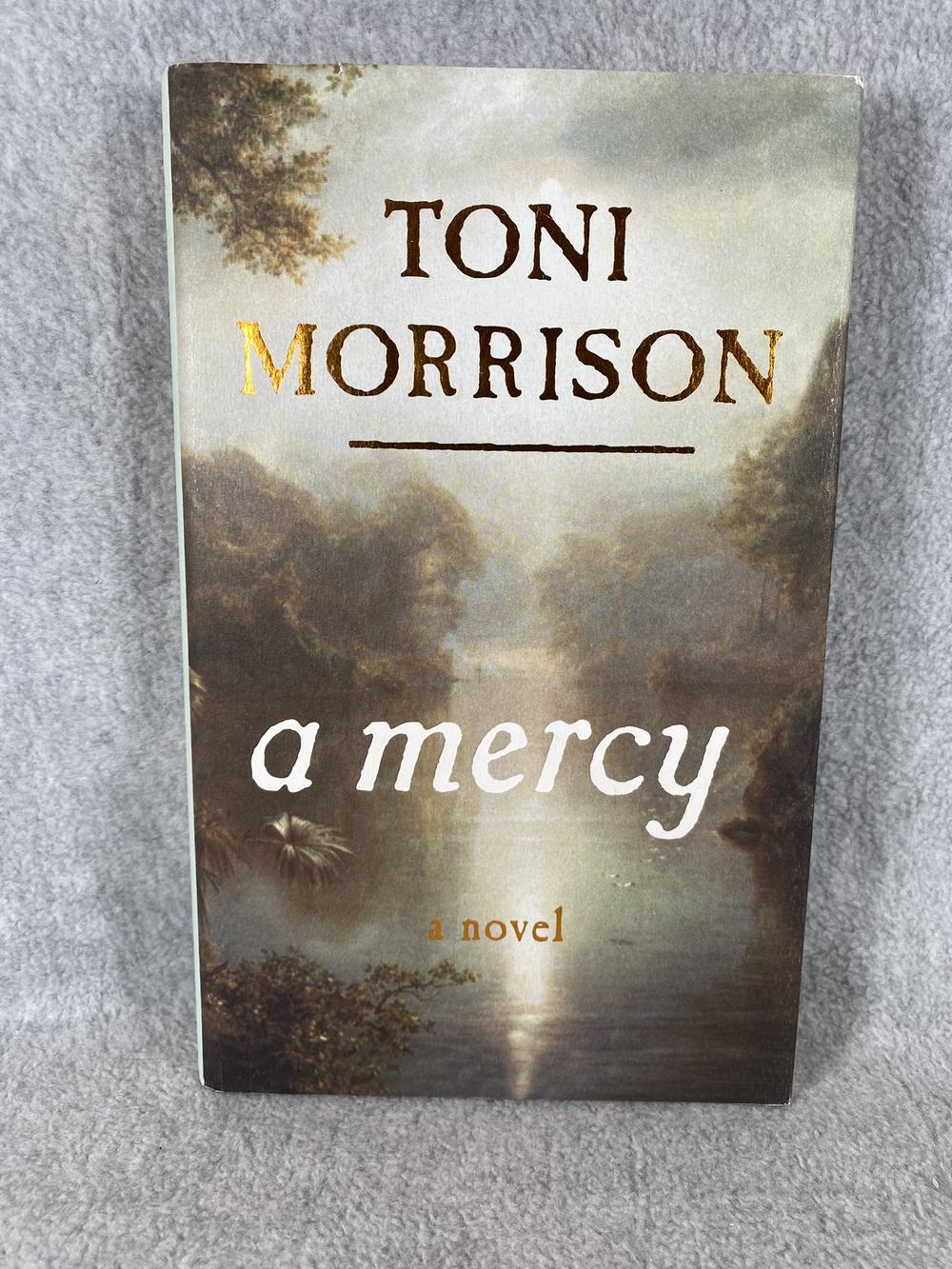 A Mercy, photo 1 of 4
