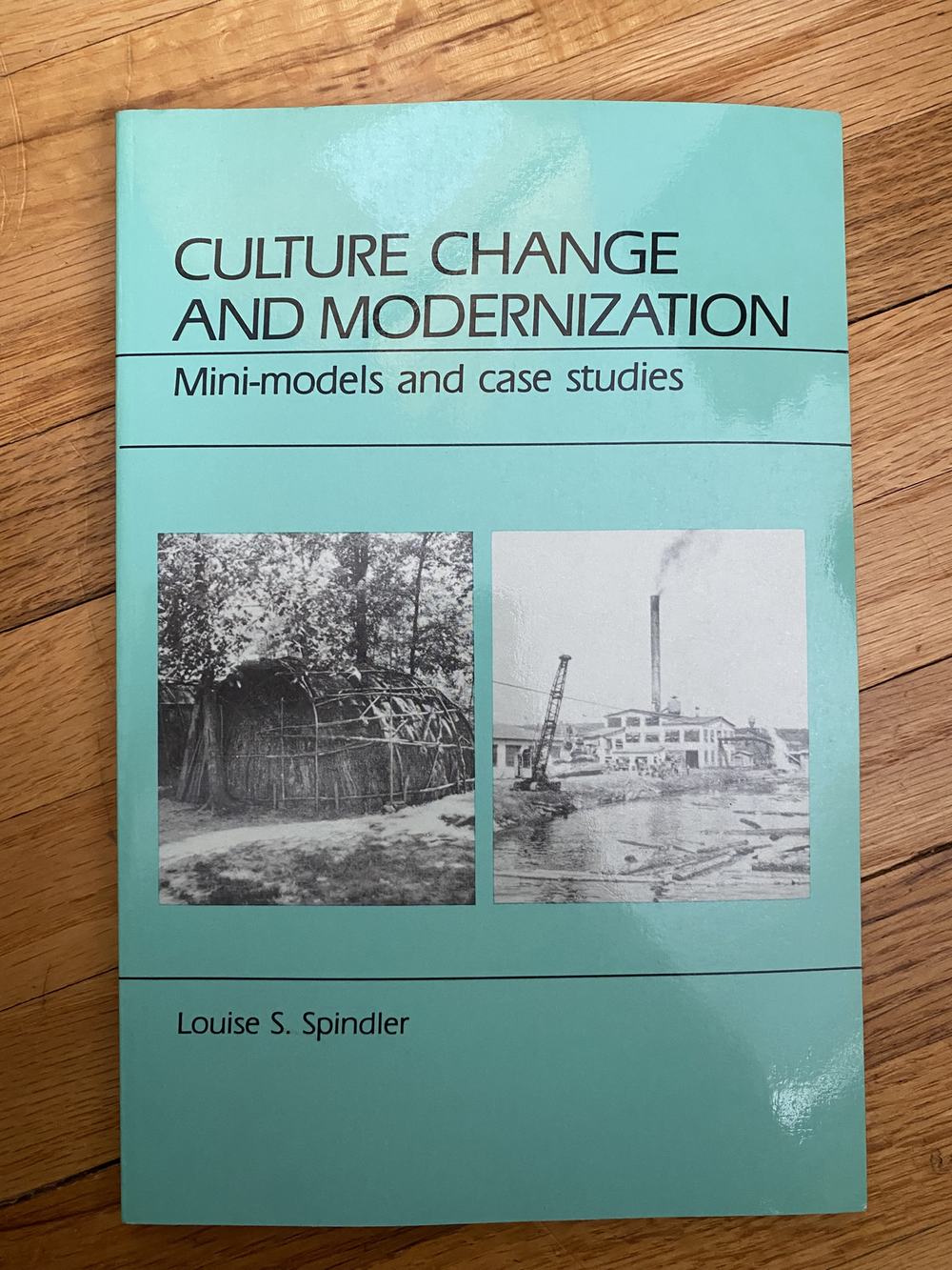 Culture Change and Modernization: Mini-Models and Case Studies, photograph of this copy