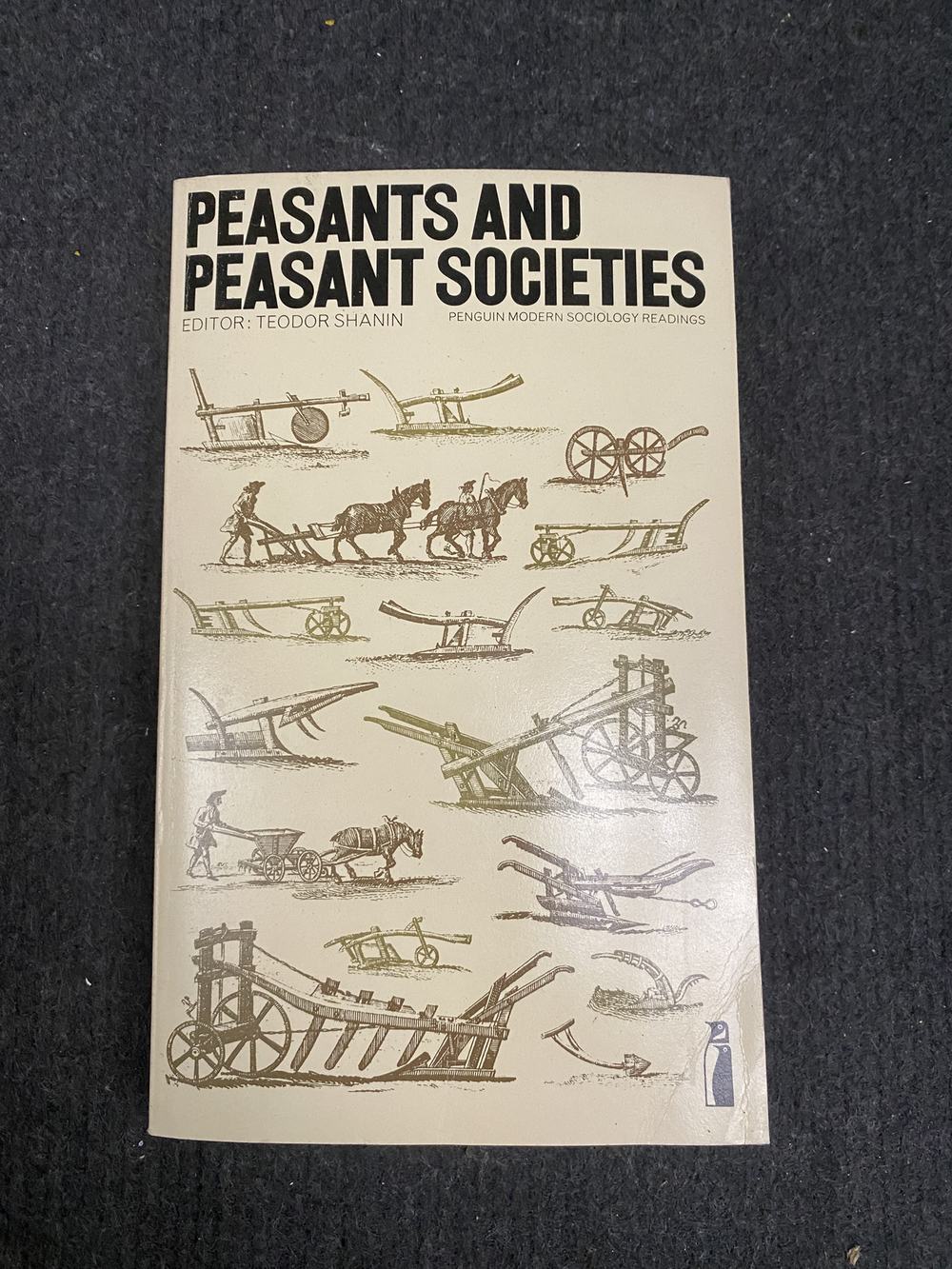 Peasants and Peasant Societies, photograph of this copy