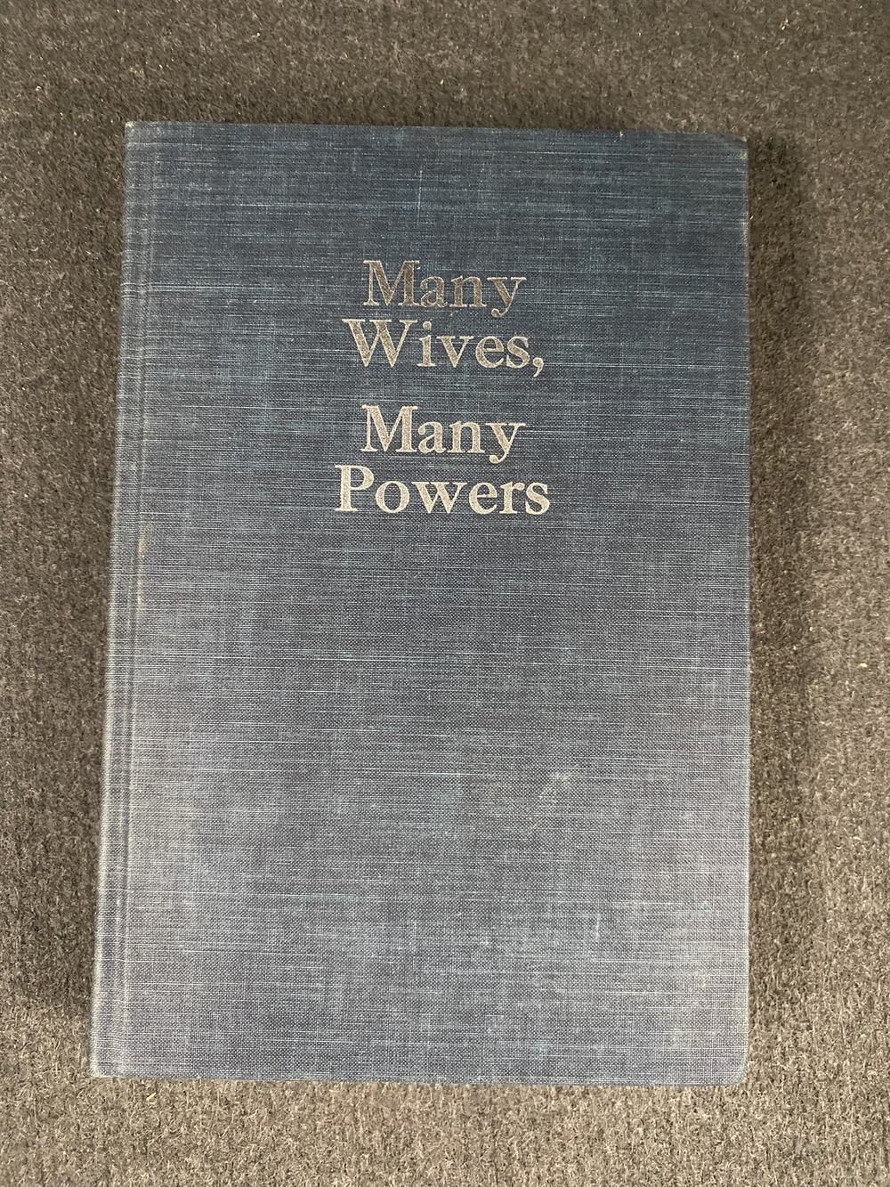 Many wives, many powers: Authority and power in polygynous families, photo 1 of 4