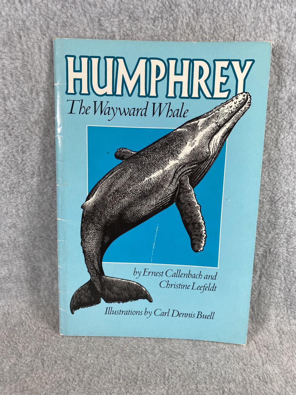 Humphrey the Wayward Whale, photo 1 of 6