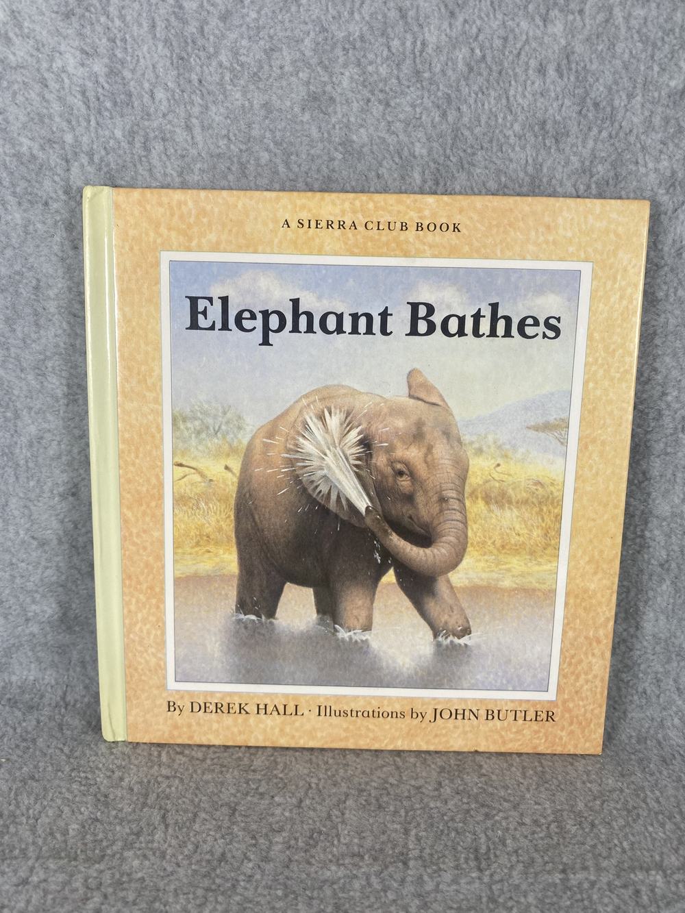 Elephant Bathes (Growing Up), photo 1 of 3