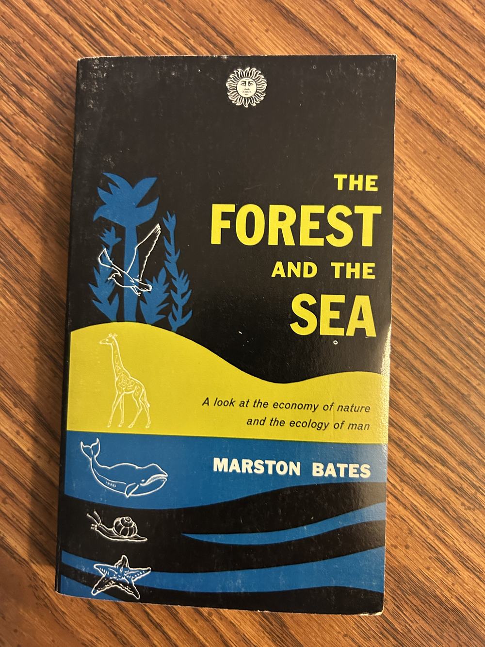 Forest and the Sea, photo 1 of 6