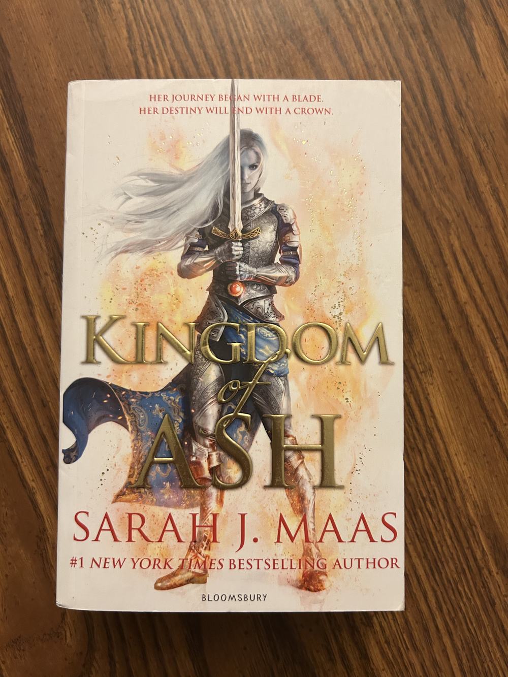 Kingdom of Ash (Throne of Glass), photo 1 of 11