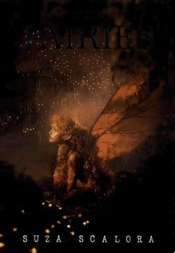 The Fairies: Photographic Evidence of the Existence of Another World (publisher cover image)