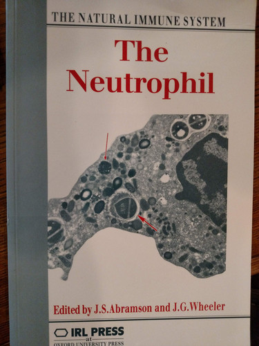 The Neutrophil: The Natural Immune System (publisher cover image)