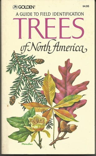 Trees of North America: A Field Guide to the Major Native and Introduced Species North of Mexico (A Golden Field Guide) (publisher cover image)