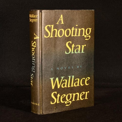 A Shooting Star (publisher cover image)