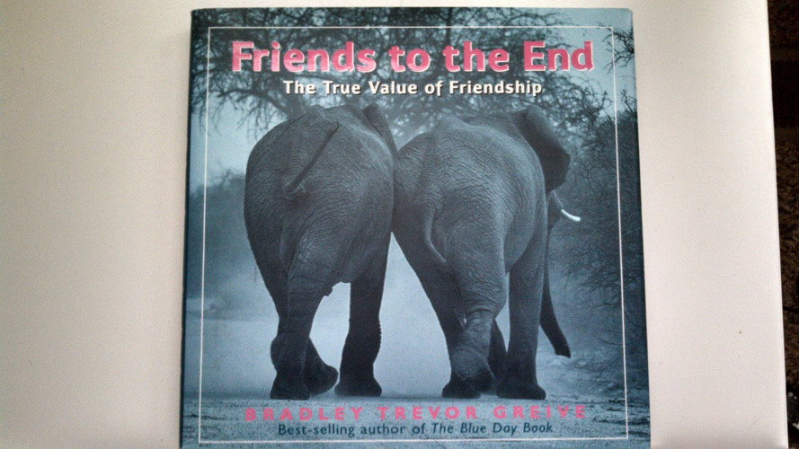 Friends to the End: The True Value of Friendship (publisher cover image)