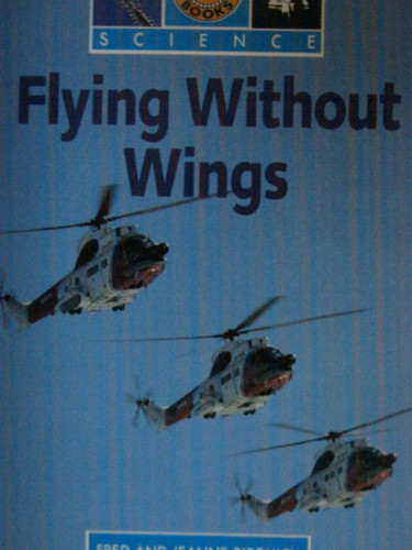 Flying Without Wings (publisher cover image)