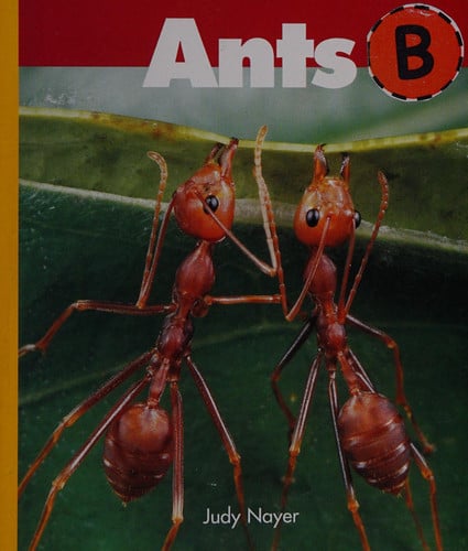 Ants - Hormigas (publisher cover image)
