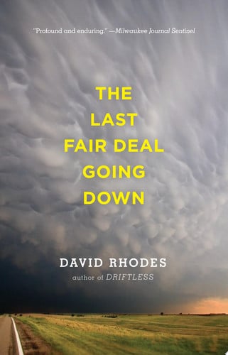 The Last Fair Deal Going Down (publisher cover image)