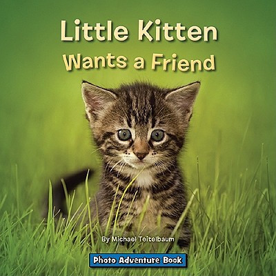 Little Kitten Wants a Friend (publisher cover image)