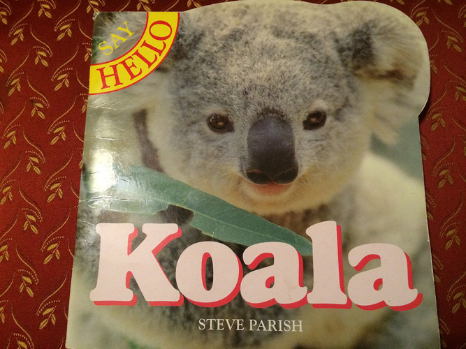 Say Hello Koala (publisher cover image)