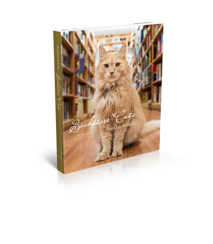 Bookstore Cats (publisher cover image)